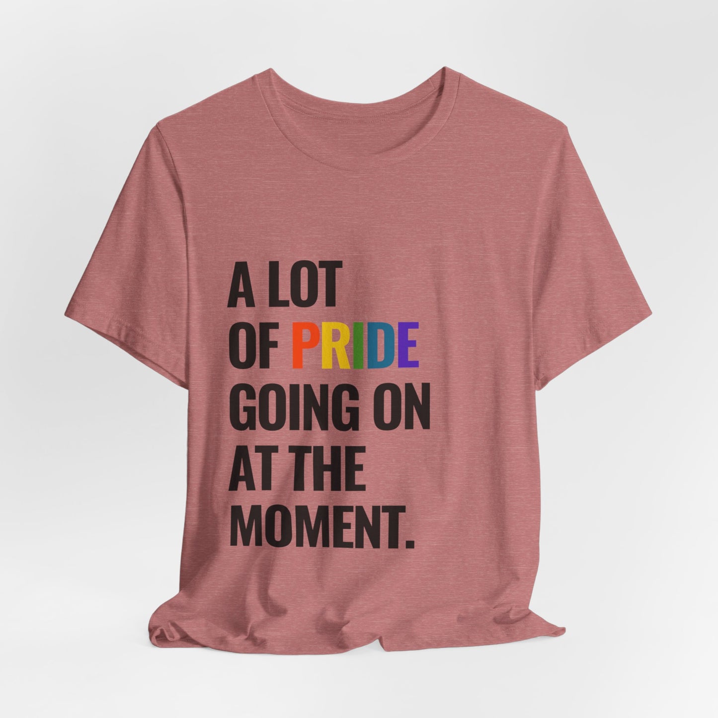"A Lot of Pride" Short Sleeve Tee